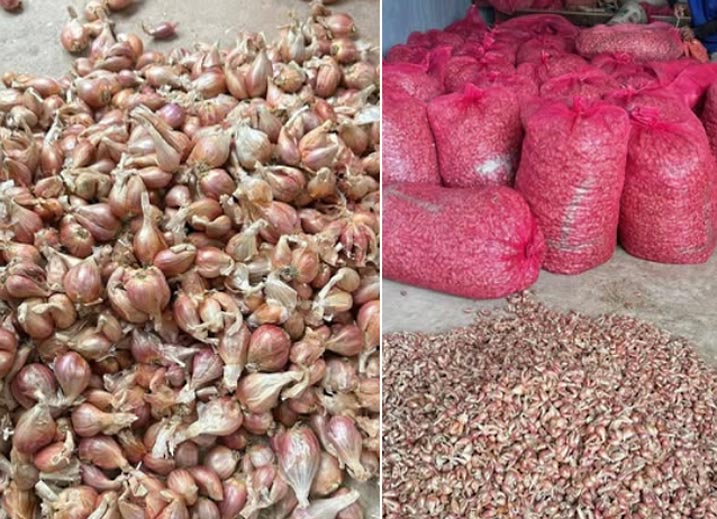 ຫົວ​ຜັກ​ບົວ​ແດງ