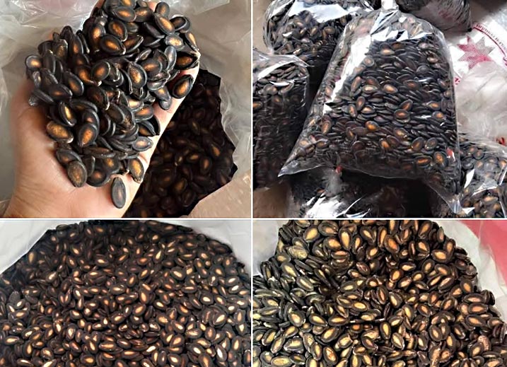 ແກ່ນ​ແຕງ​ໂມ