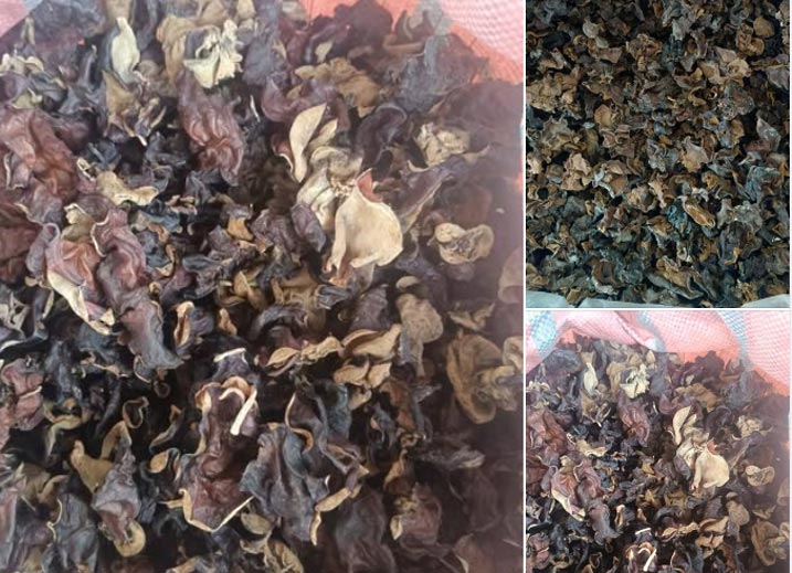 ເຫັດ​ຫູ​ໜູ​ແຫ້ງ